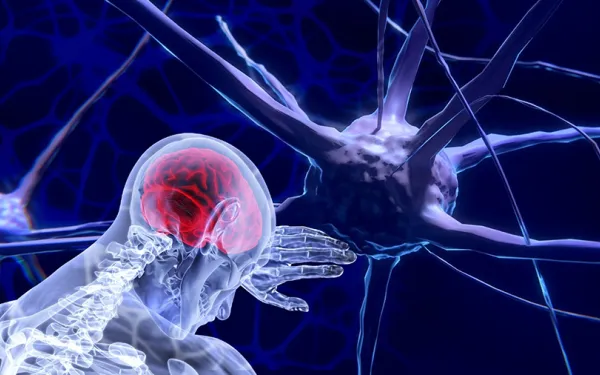 Image of brain and neurons
